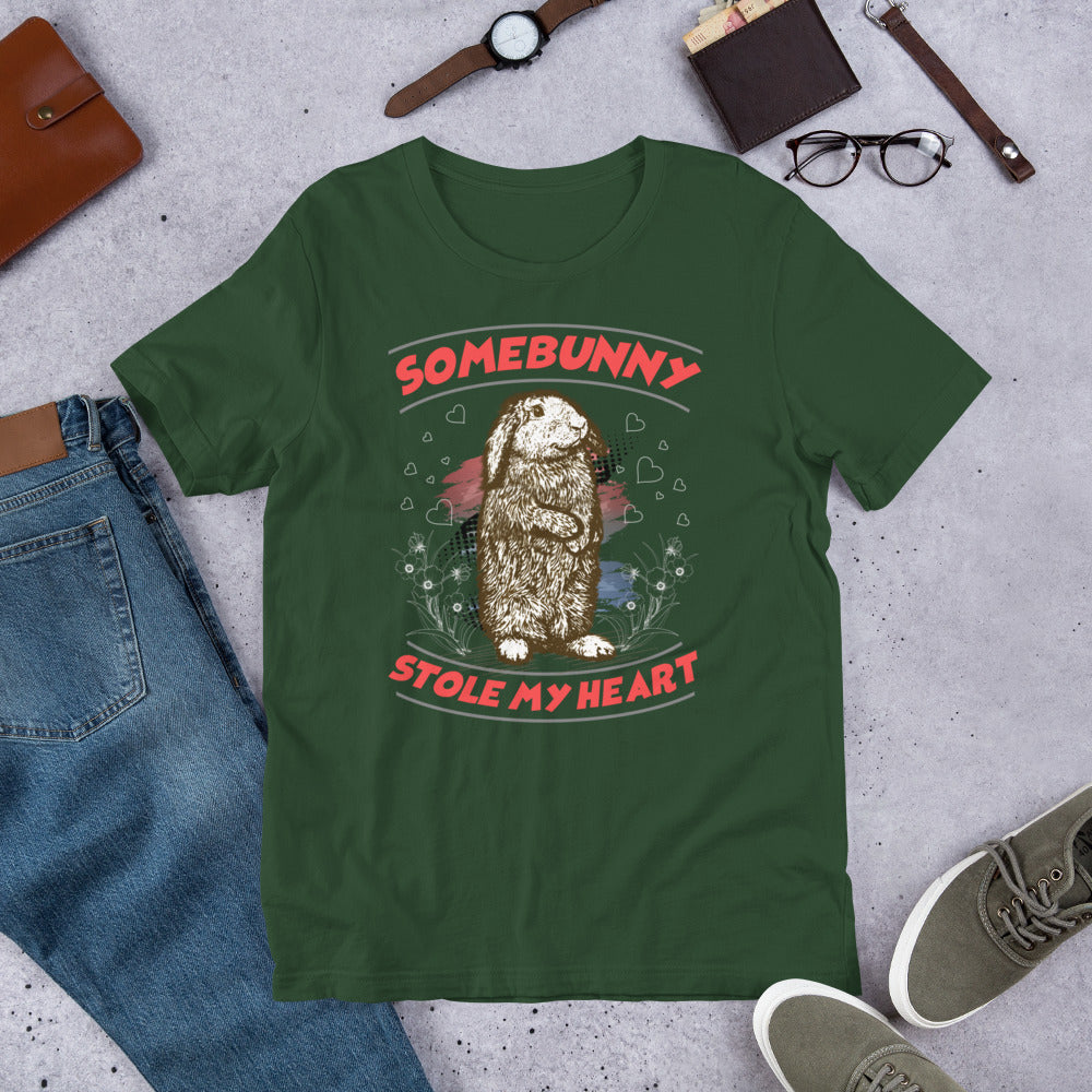 Somebunny Stole my Heart Bunny t-shirt